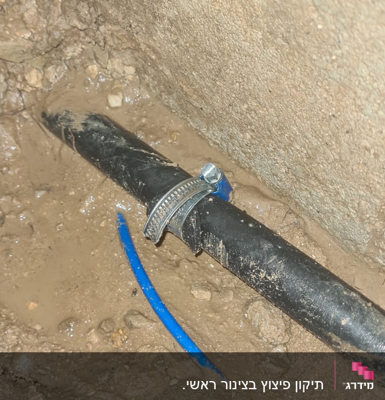 צינור שחור עם חבק מתכת באדמה רטובה